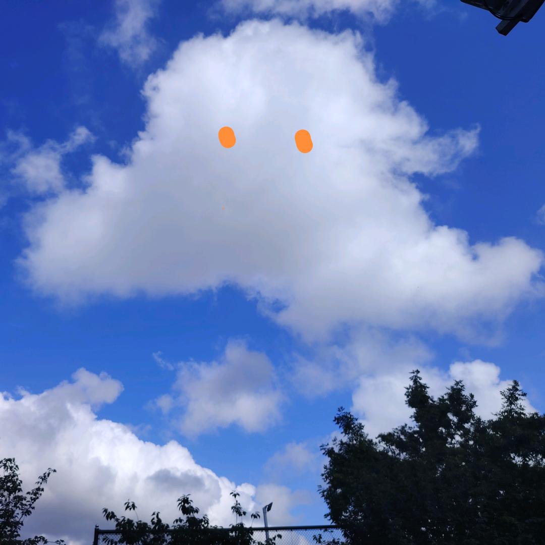 海柳