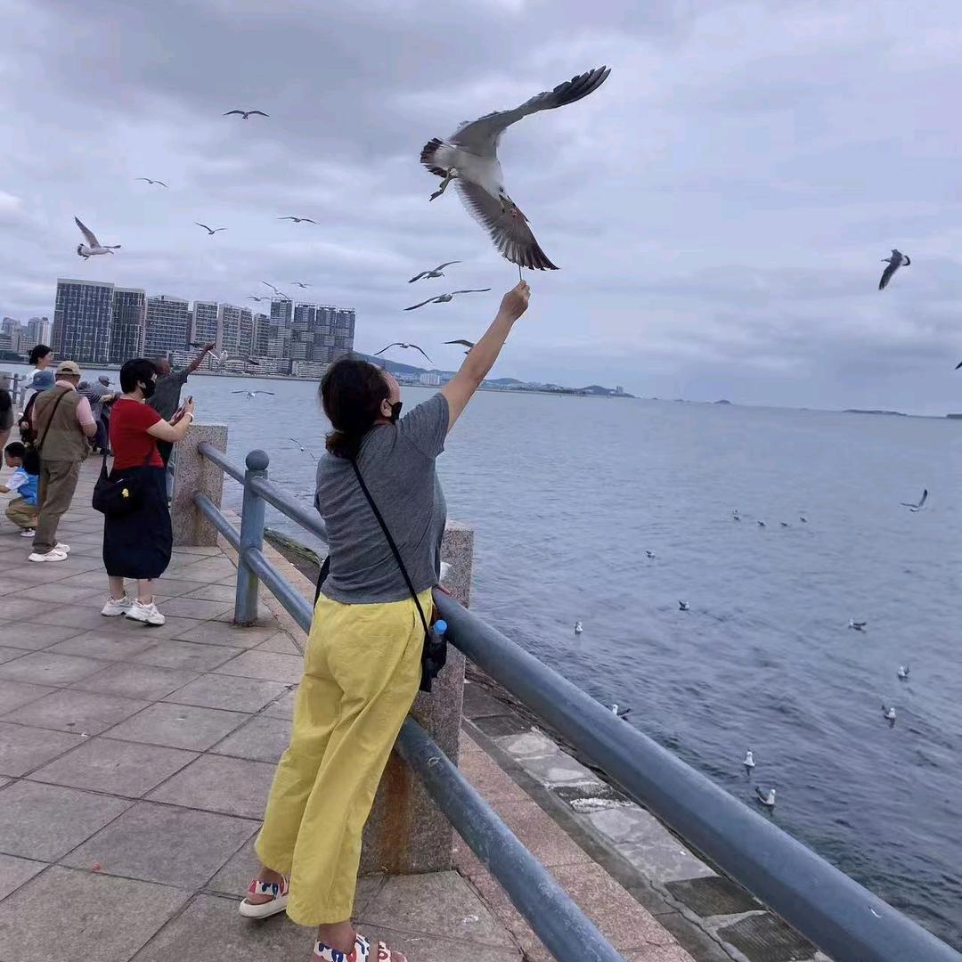 安逸1319