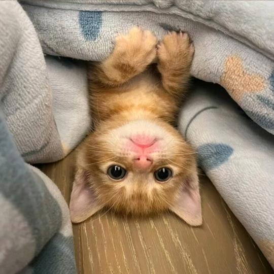 再往前.🐾头像