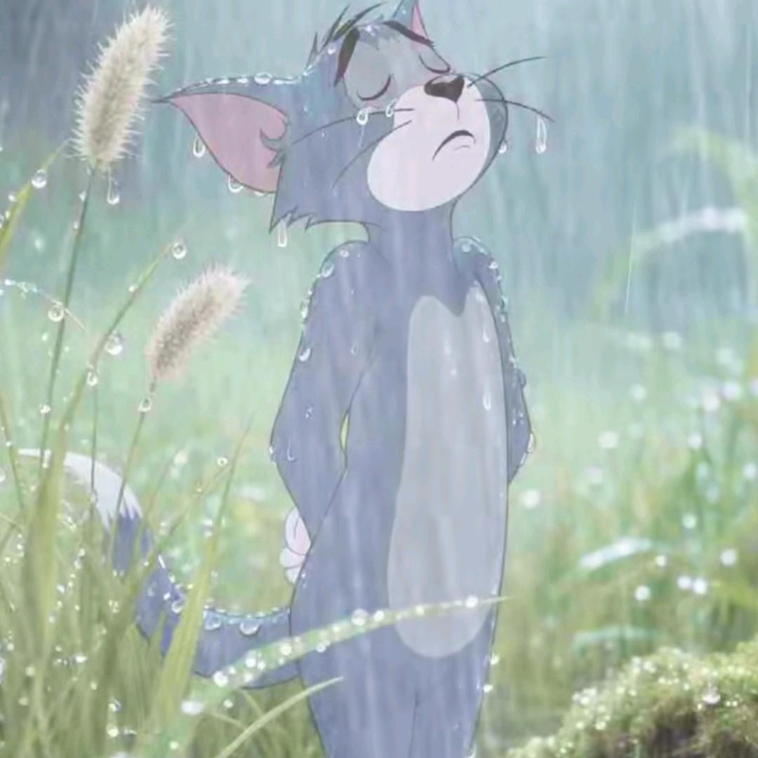 南方客~