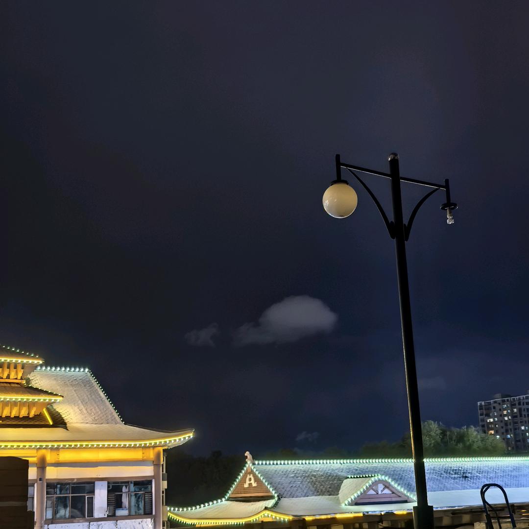 任性
