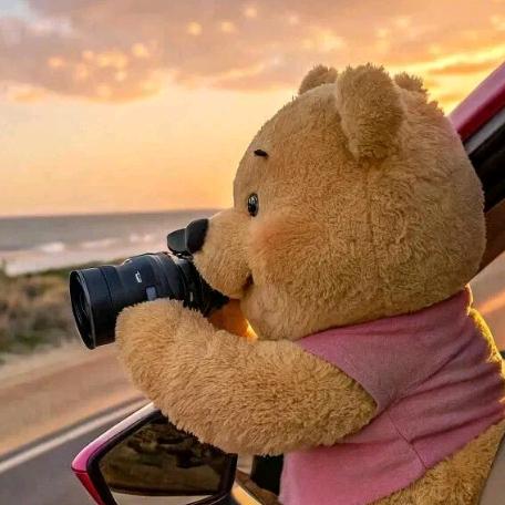 骑看骆驼看日出的老阿姨