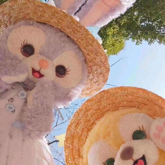 这是个大宝贝