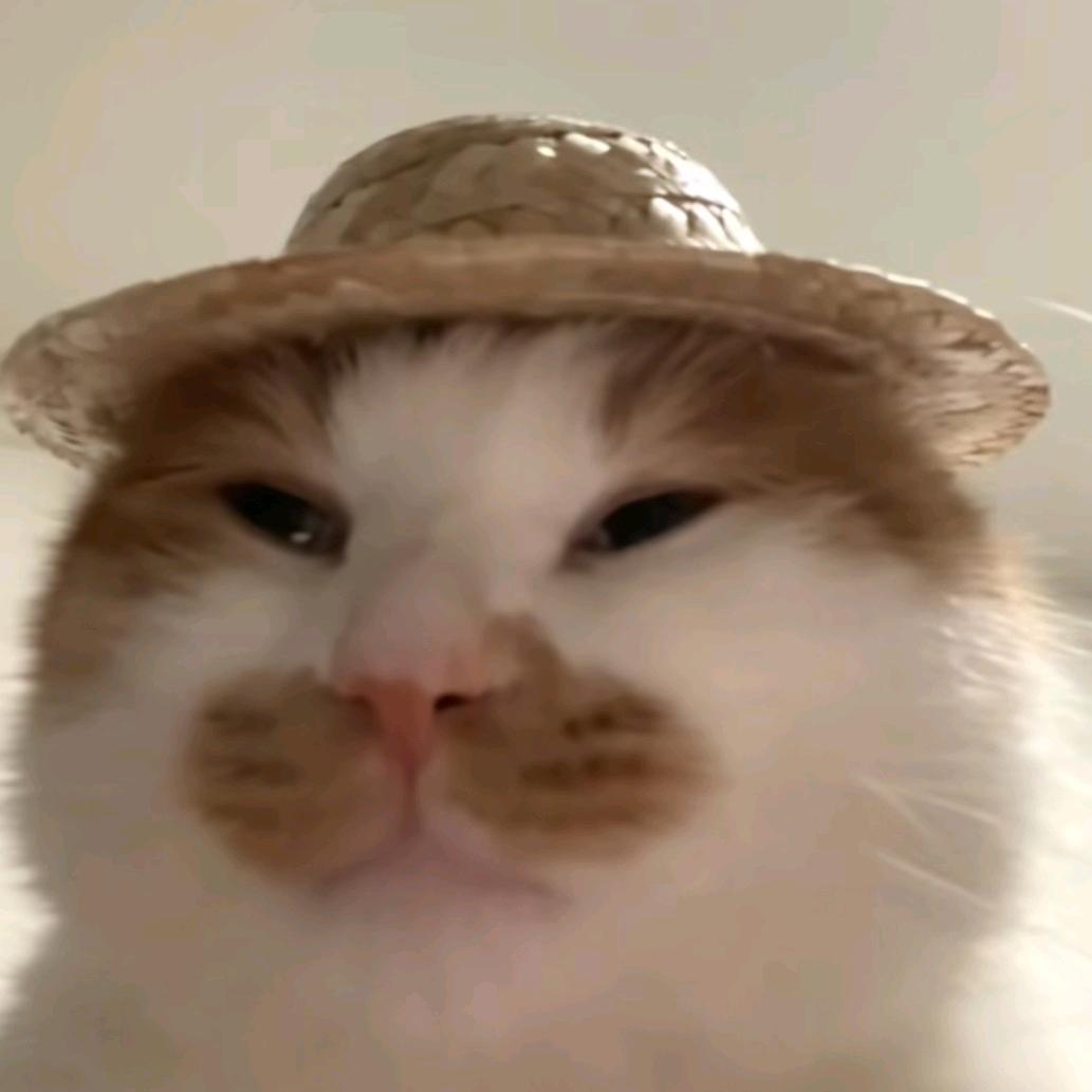 老农咪