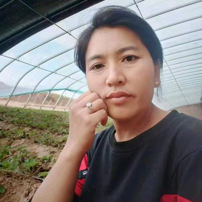 棚妹短剧