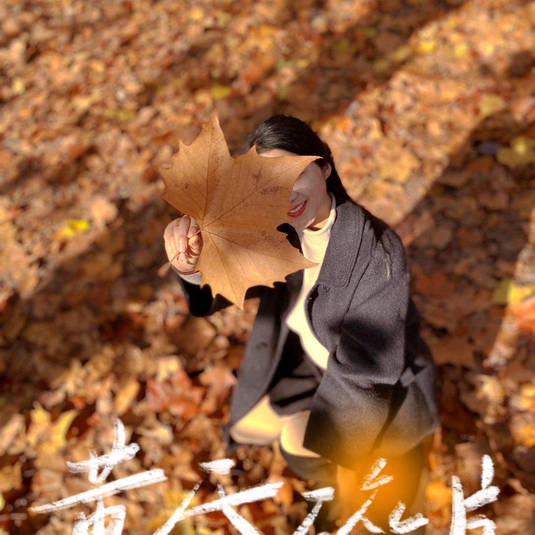 素素探房（西乡）