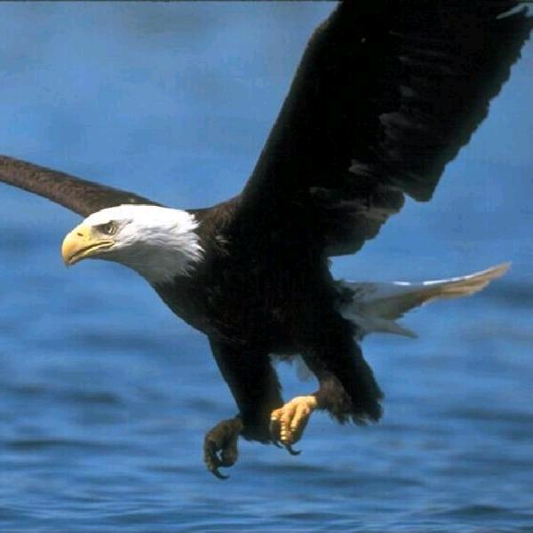 🍹靜待💞花開🍹