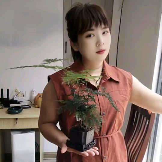 随心所欲