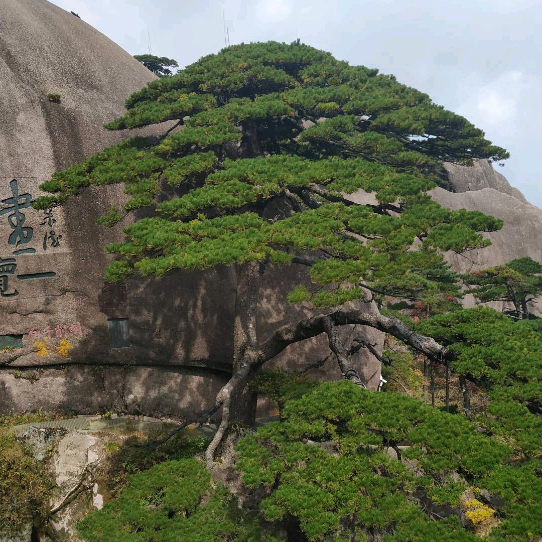 微凉不凉