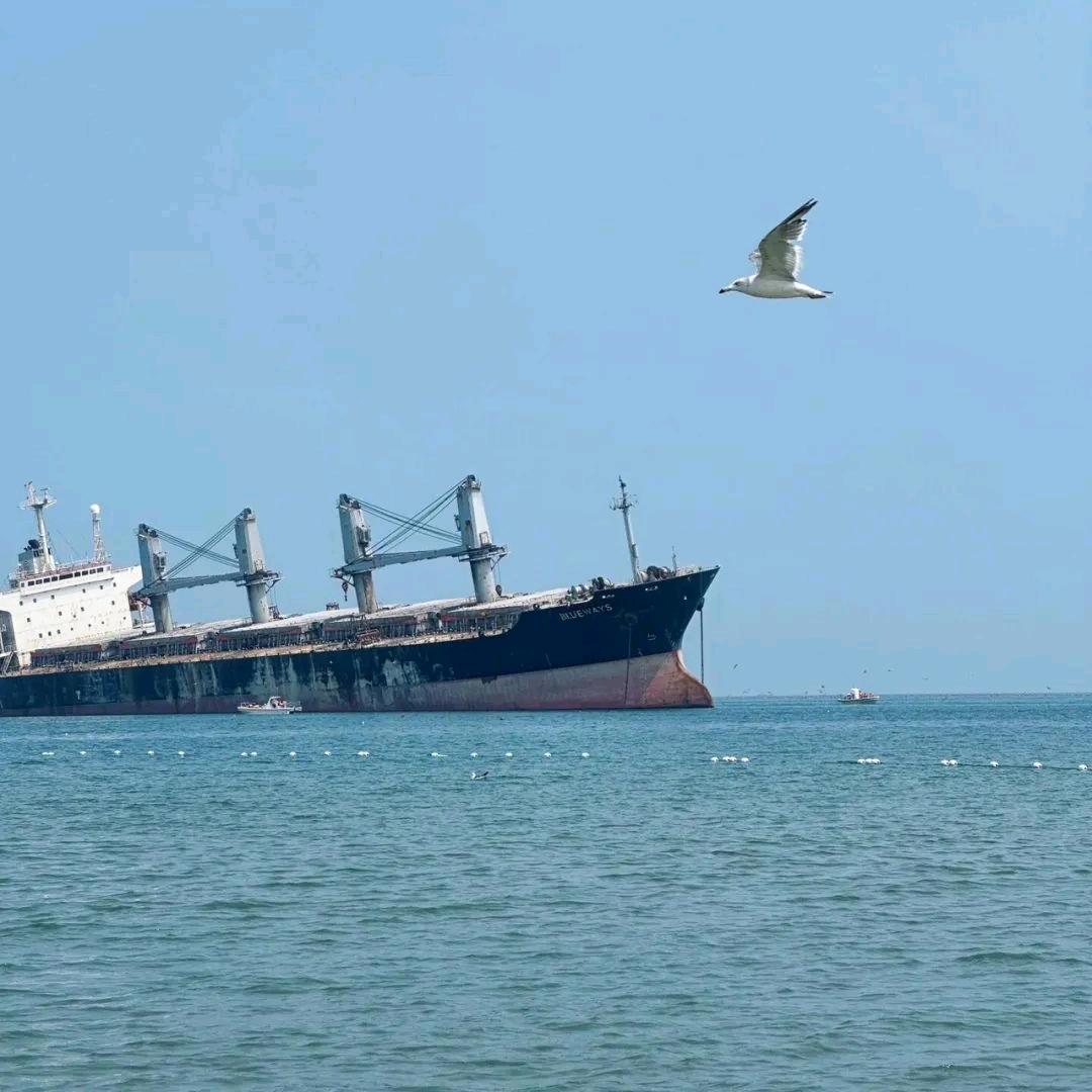 本·真·𓆜 ·༠°