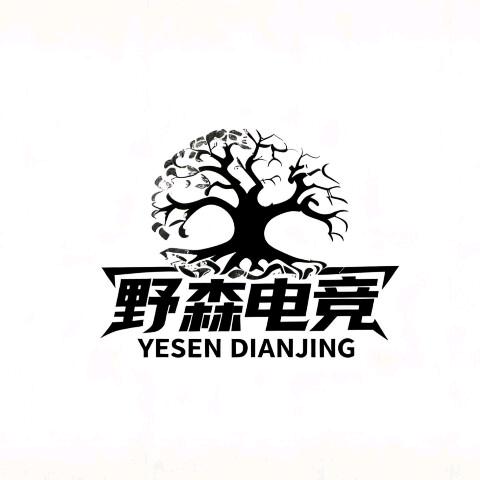 野森电竞-难赴（手游49.9-500m）
