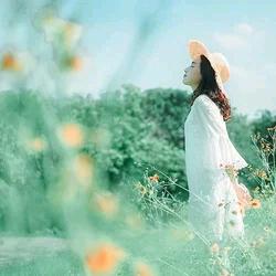 💫愿时光待你安好💐