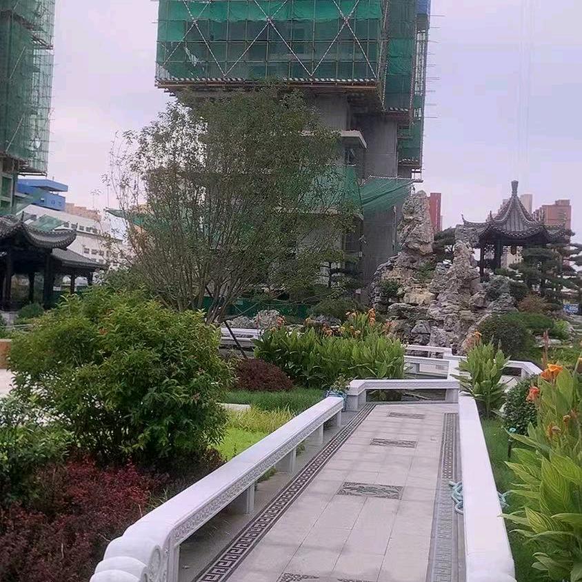 新乐甄小莲
