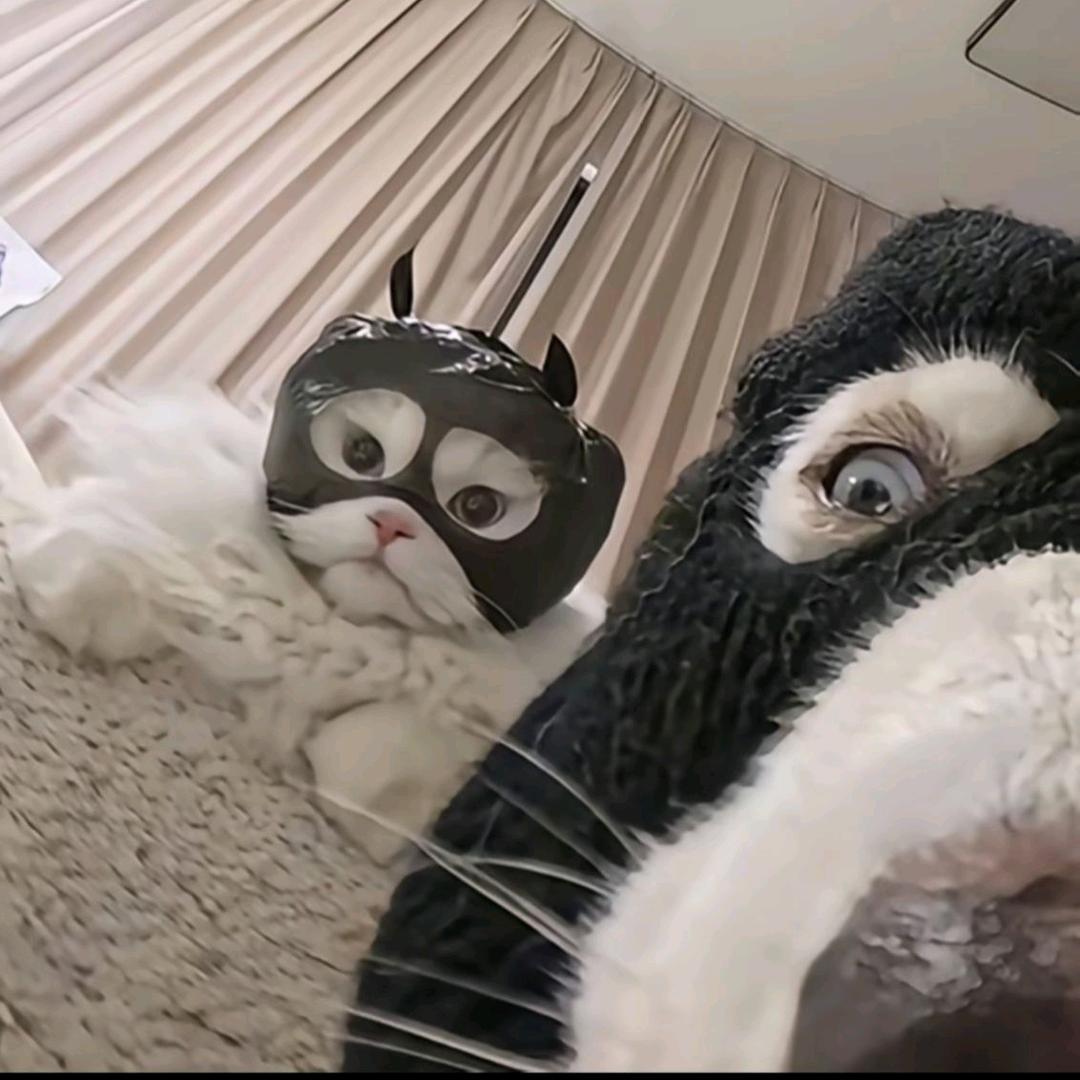 不知道叫什么名字