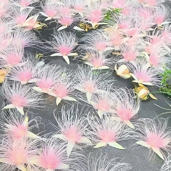 心若安好，便是晴天💰