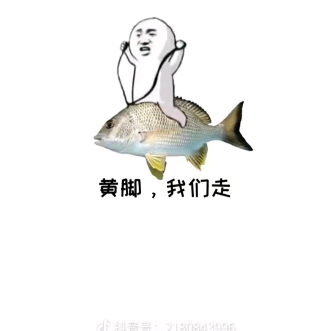 风