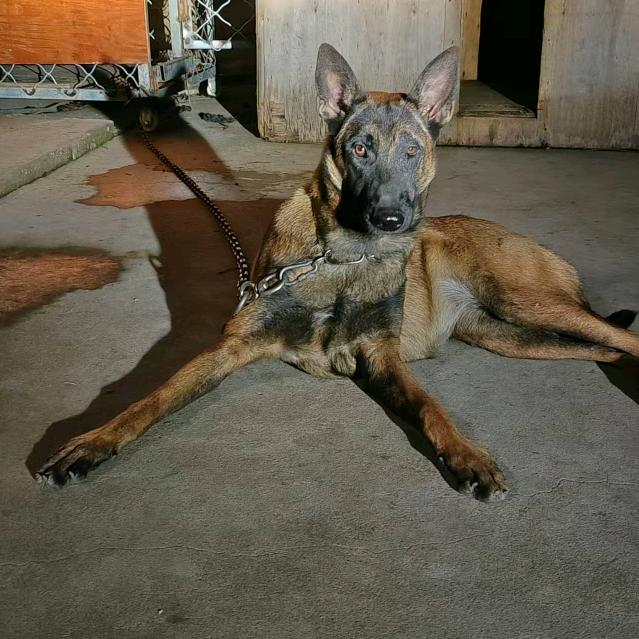 ྀི终是ꦿᩚ🎋້不⃟懂🕊