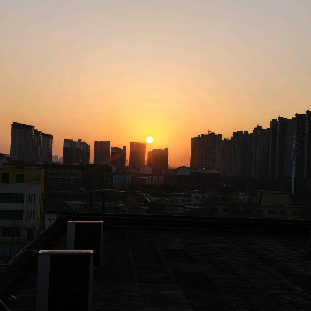 米粒 诺诺