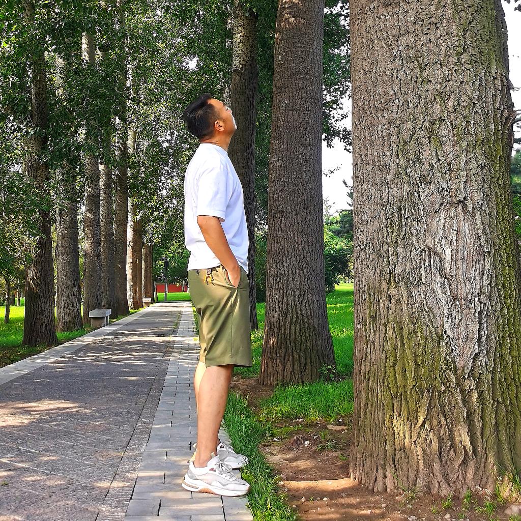 中华手书