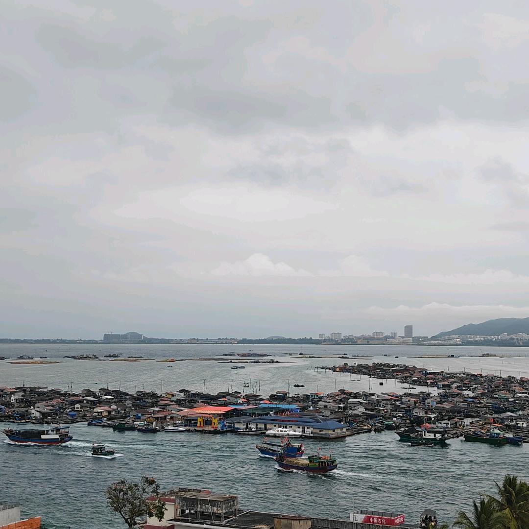 半山斜照万林明