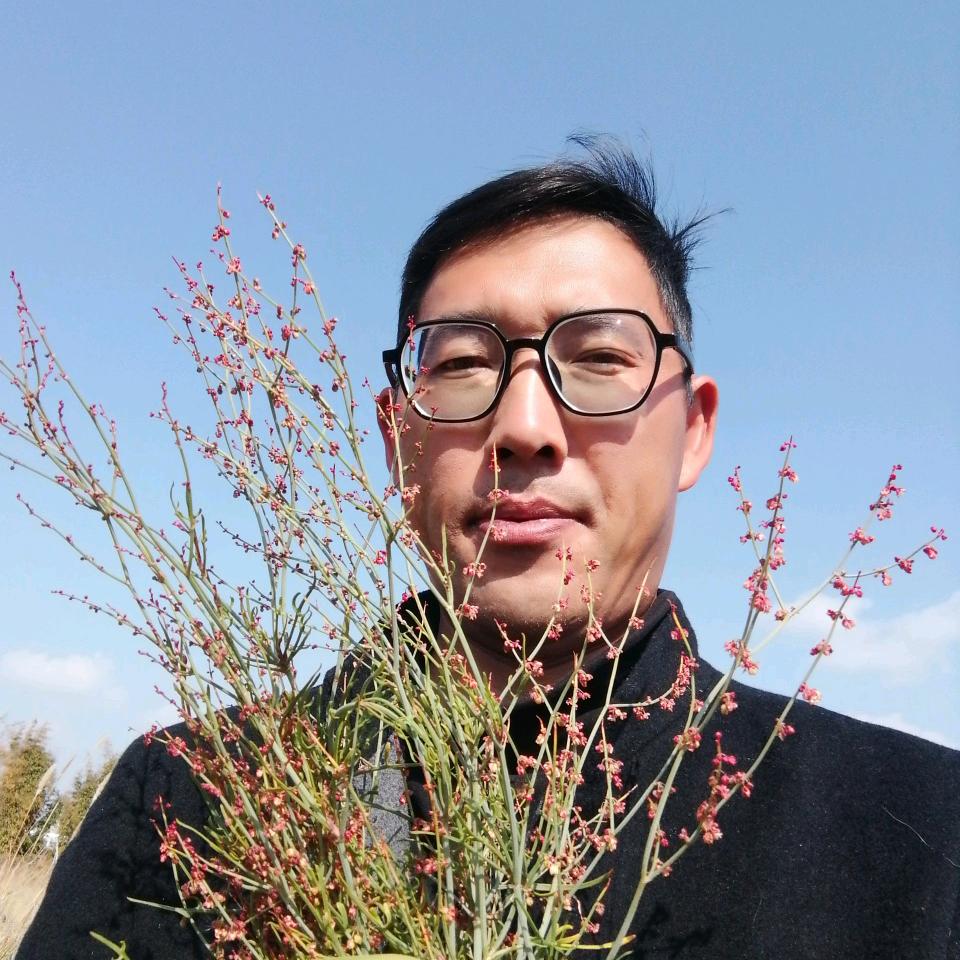 采云南