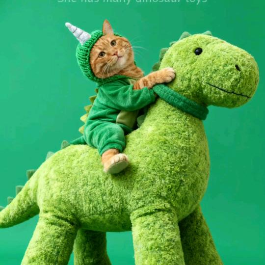 你笑起来很好看