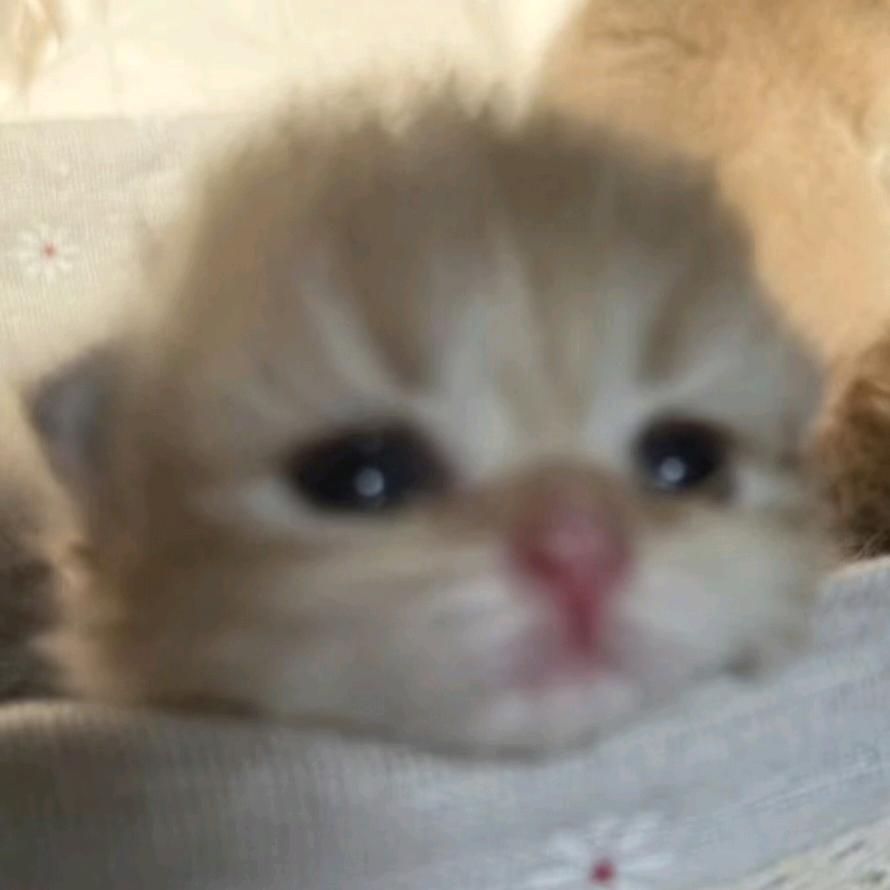 小心