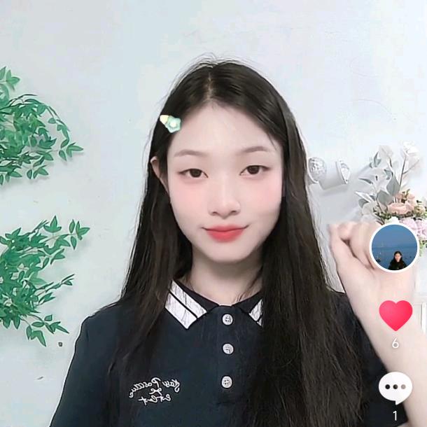 满天星💖珍珍