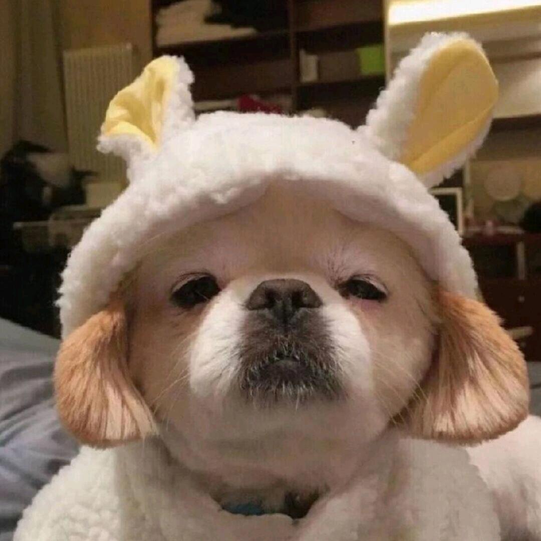 钟楼拍照小罗📷（拍照接单中）