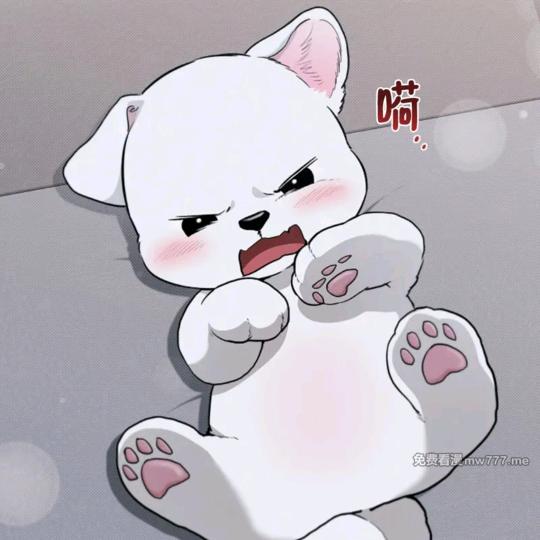 但是我拒绝