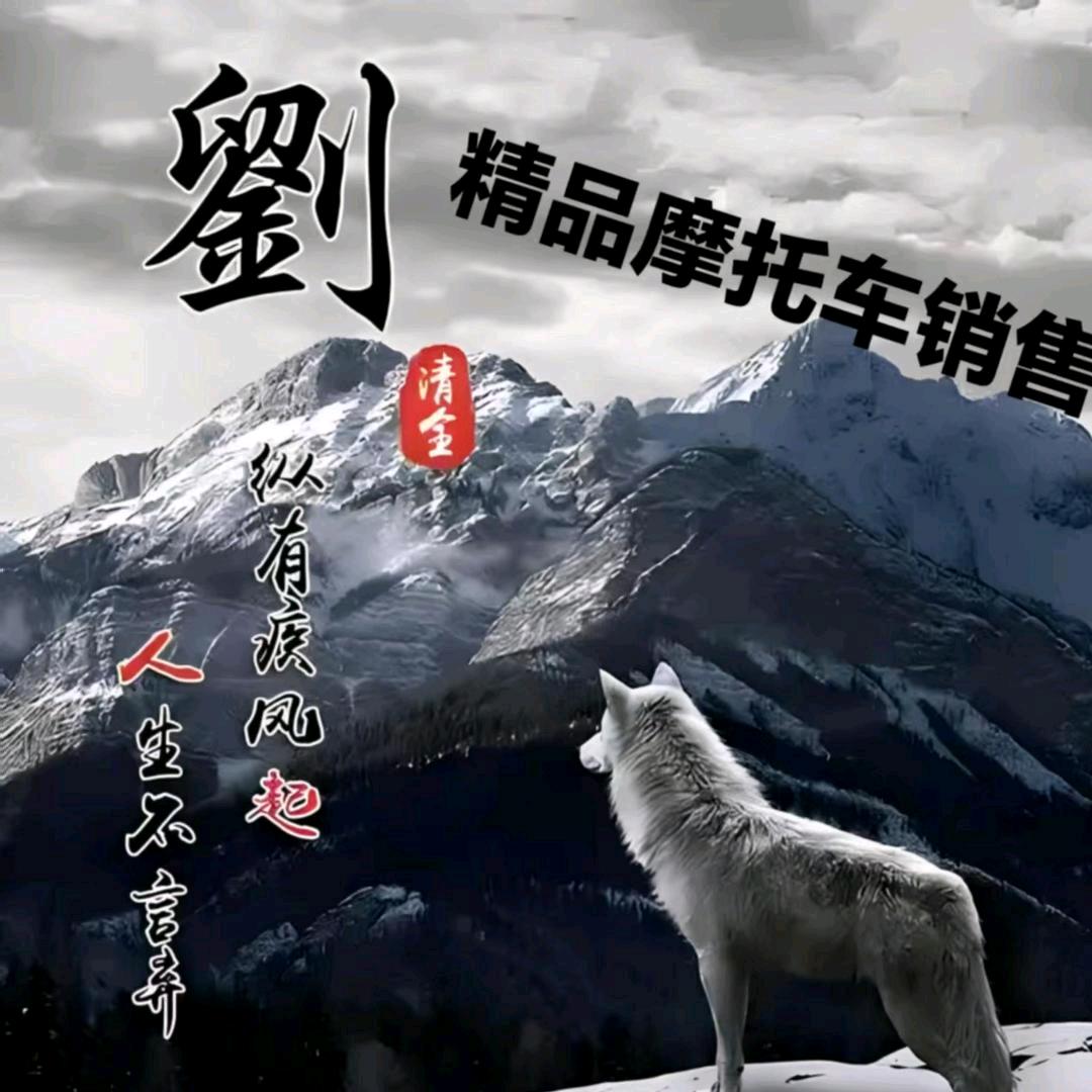 精品摩托车！大小排量！
