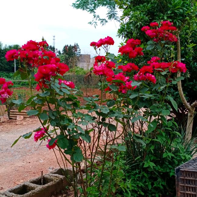 和气能交天下友