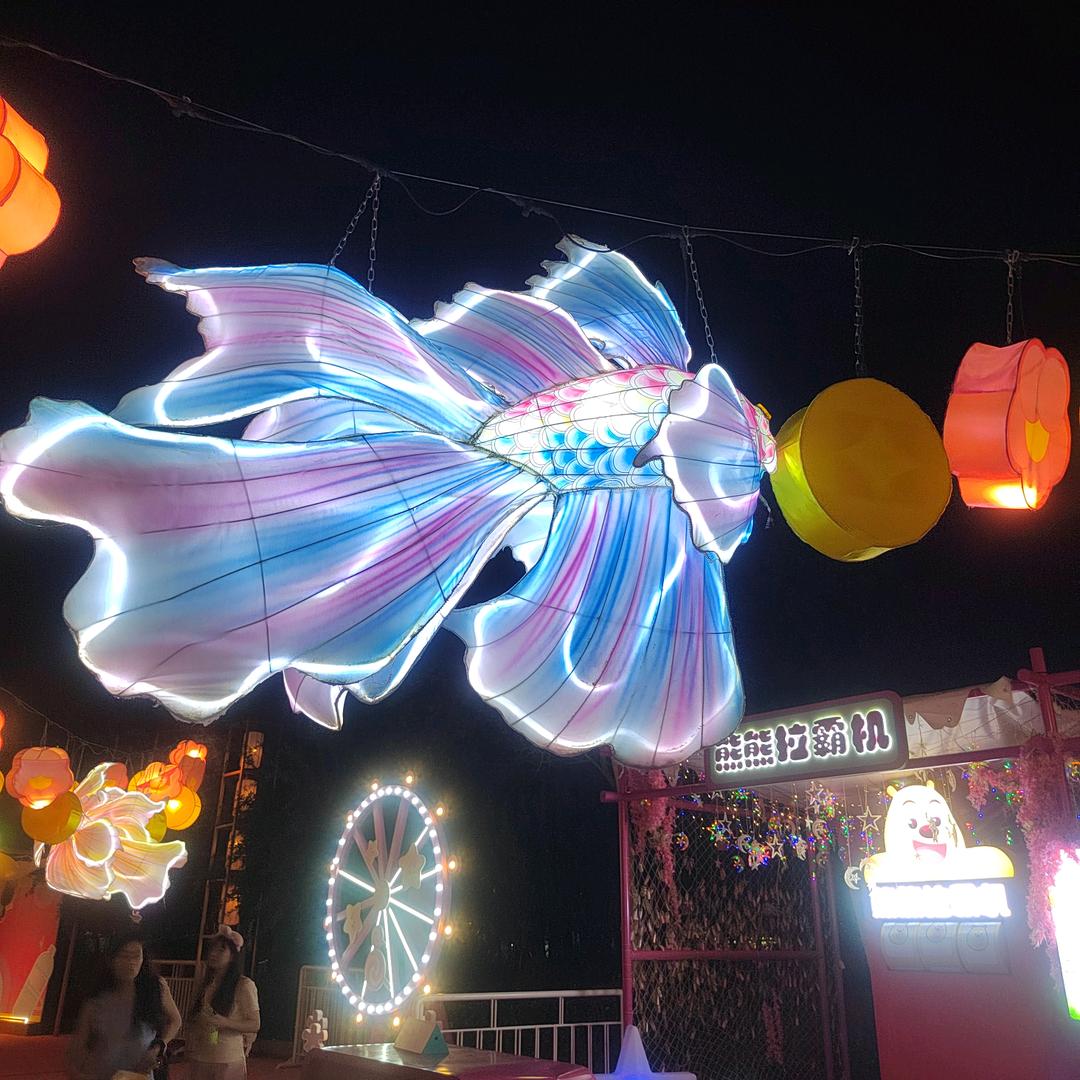 青青子佩.悠悠我思