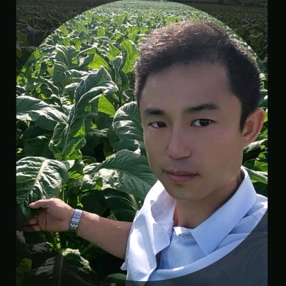 曾氏家族：口粮王
