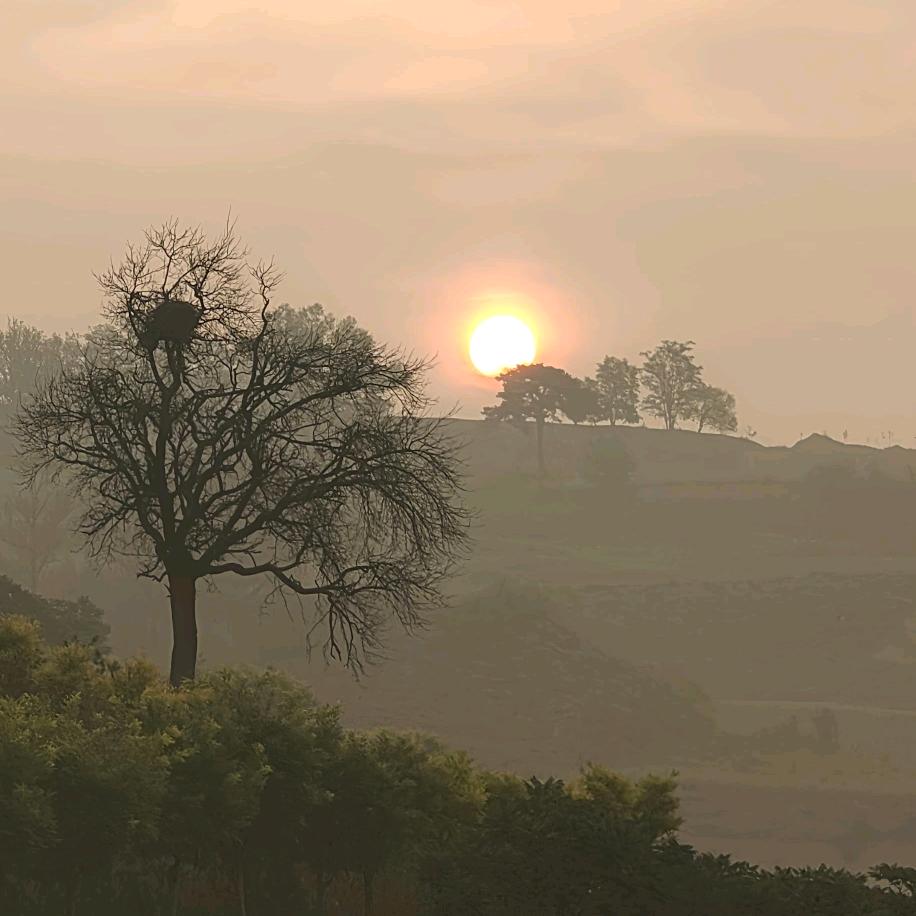 ༺晴空༒万李༻