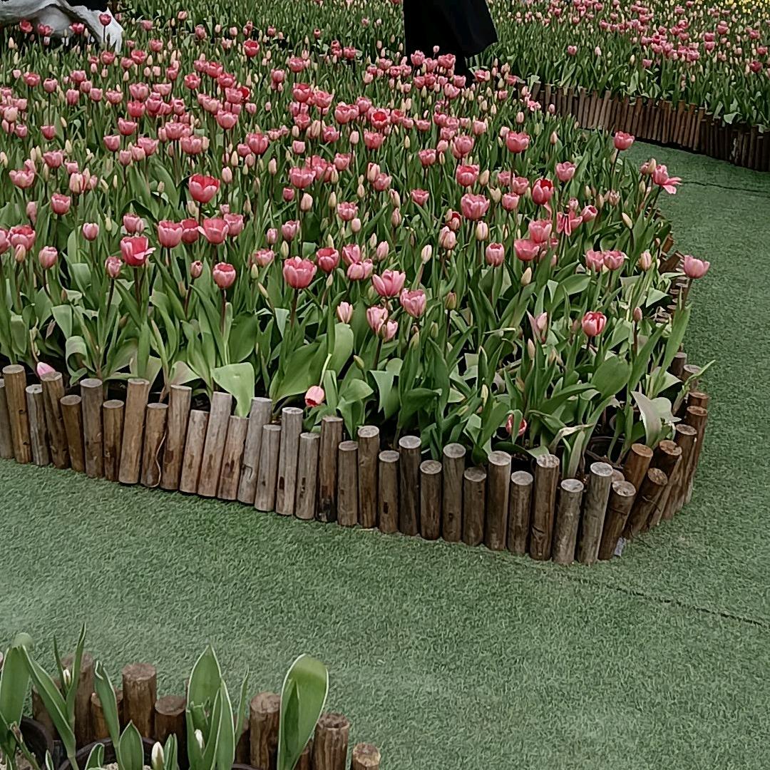 逸