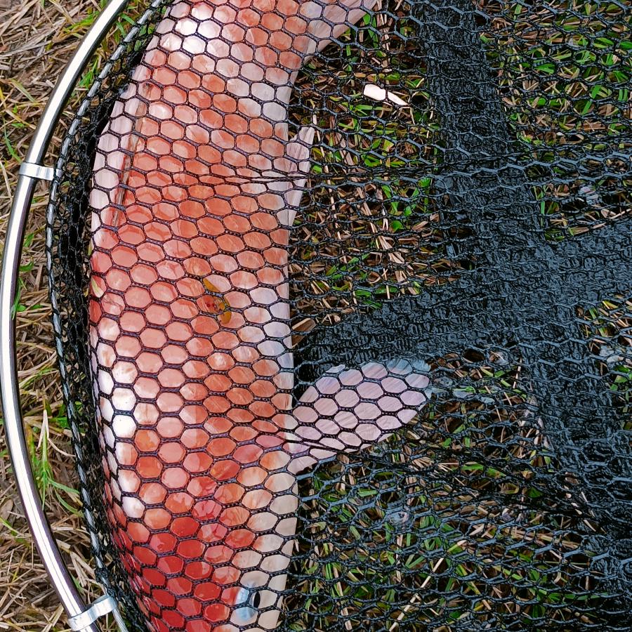 随风（休闲垂钓:)🎣