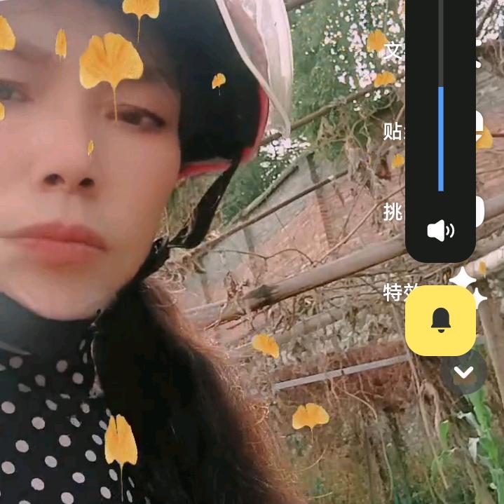 李李妈