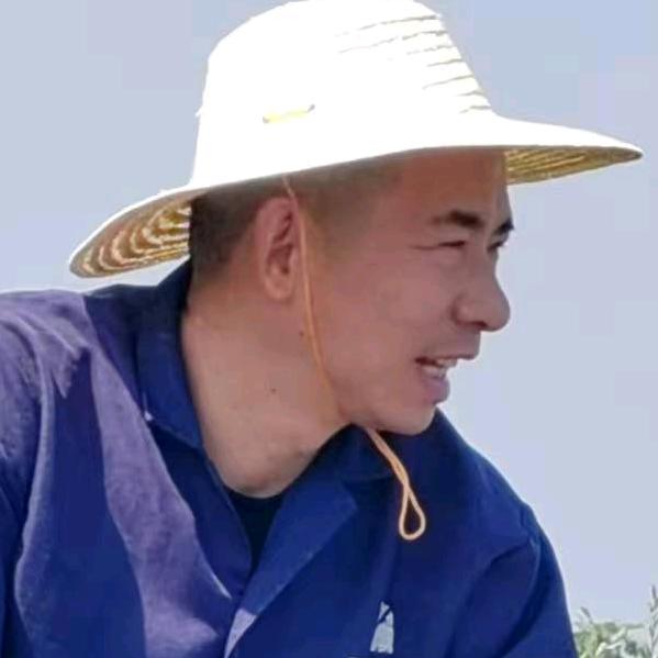 今生无悔