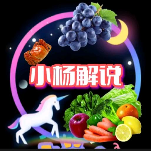 小杨解说君