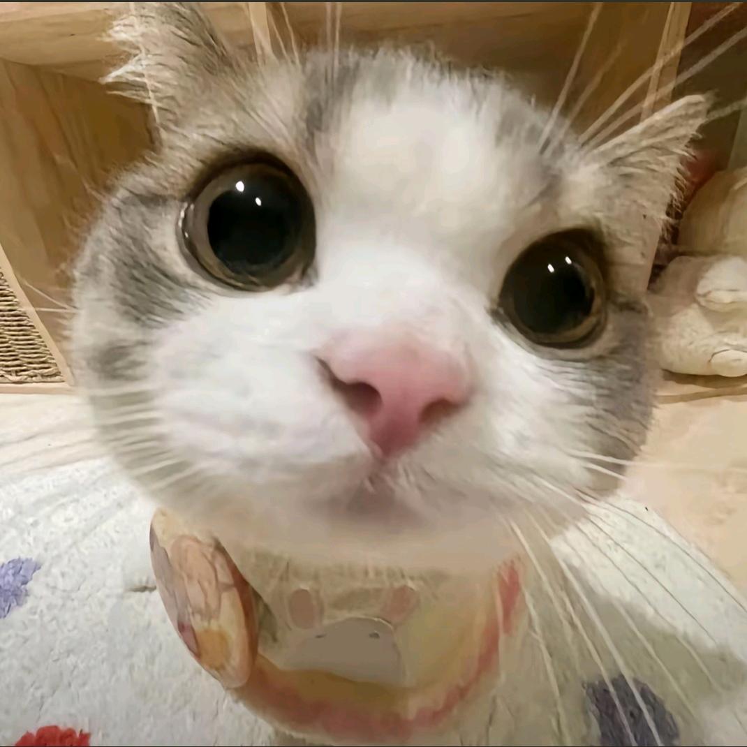 赤赤