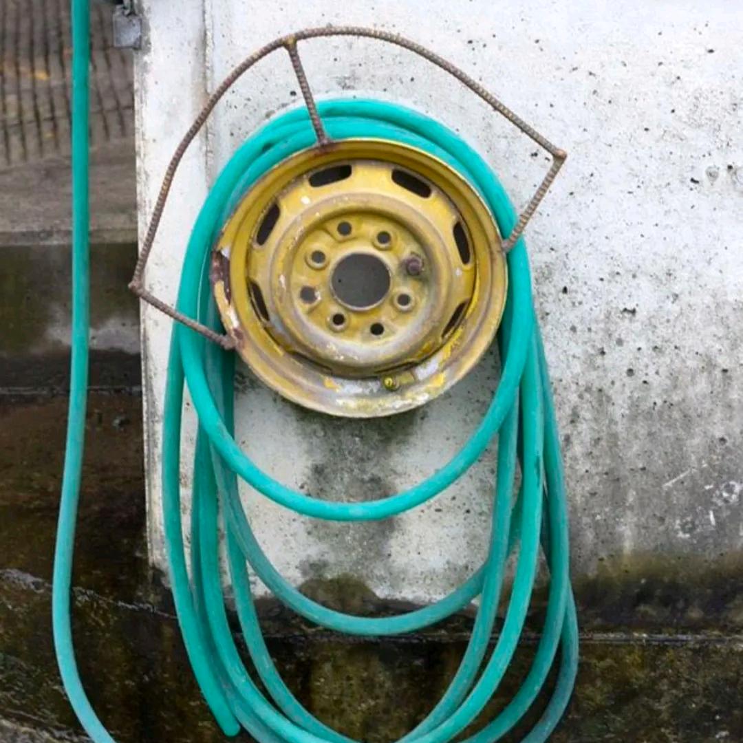 鱼皮包饺子（私信被封版