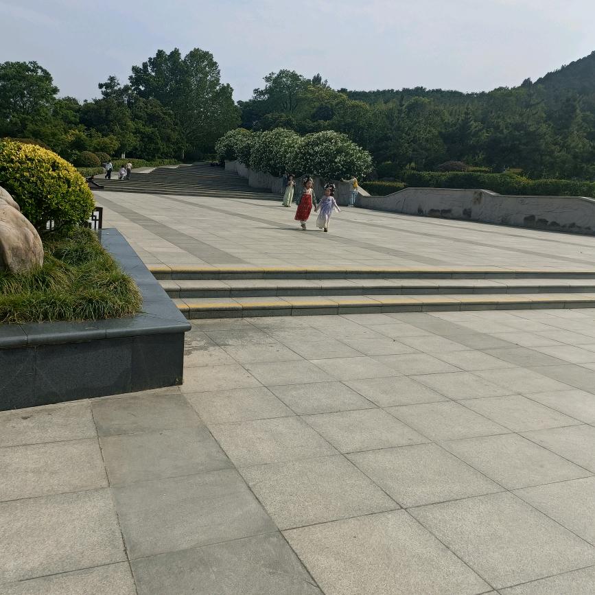 啊诺秋