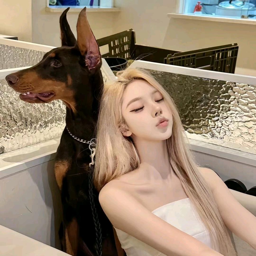 难哄的妹