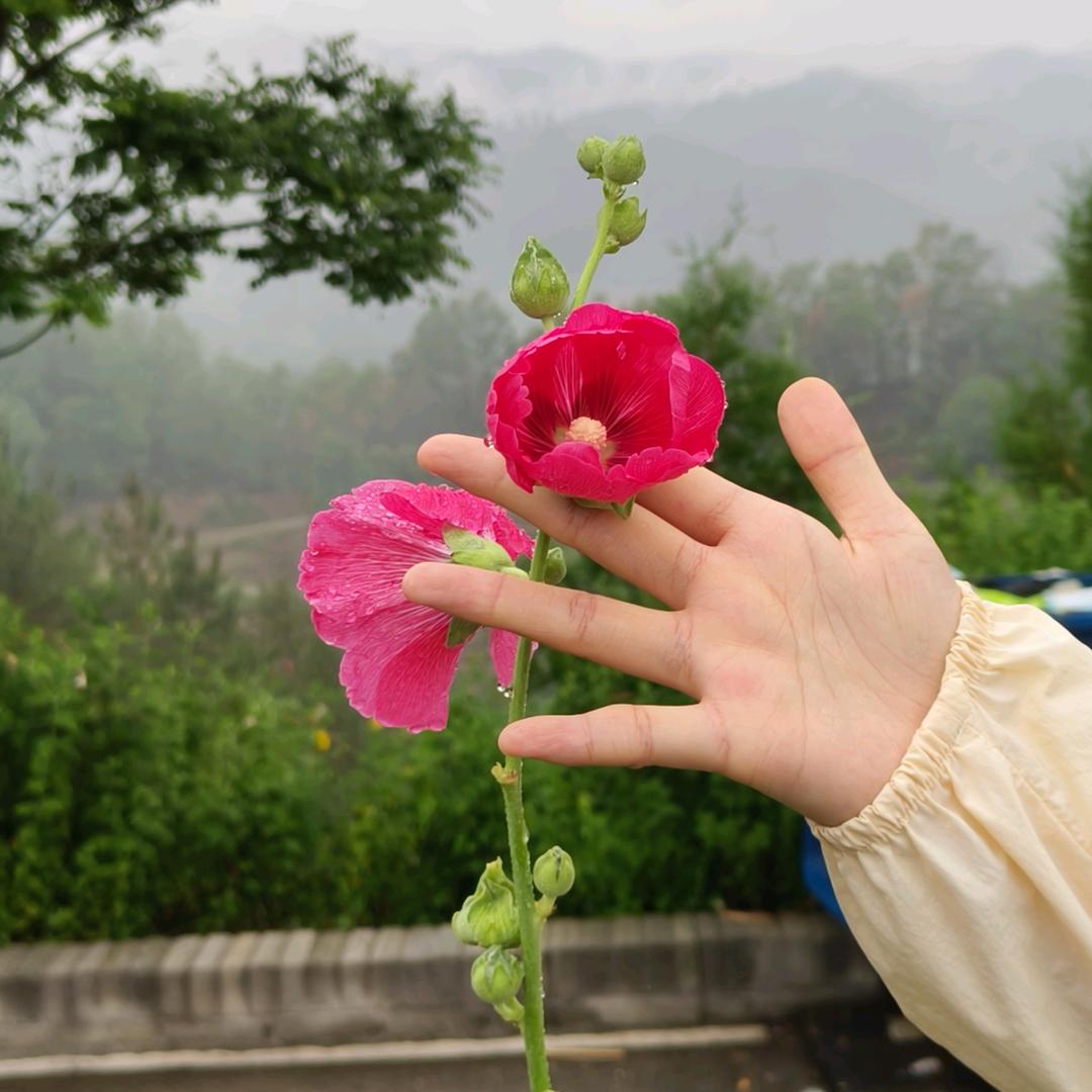商南石磨肠粉广式炖汤