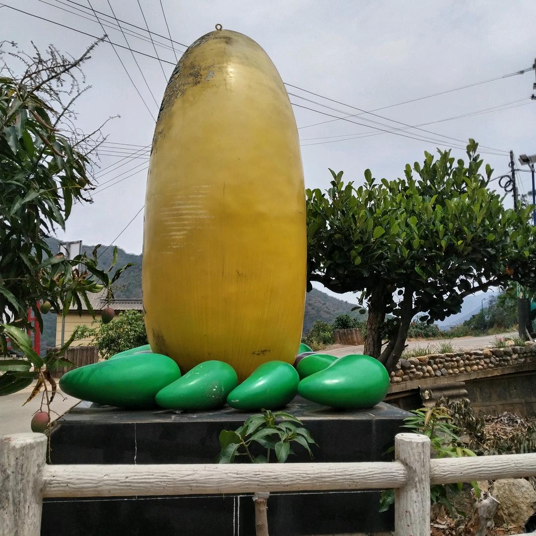 梦想丛这里起飞