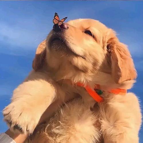 Tʀᴜsᴛ¹⁴⁴¹⁹