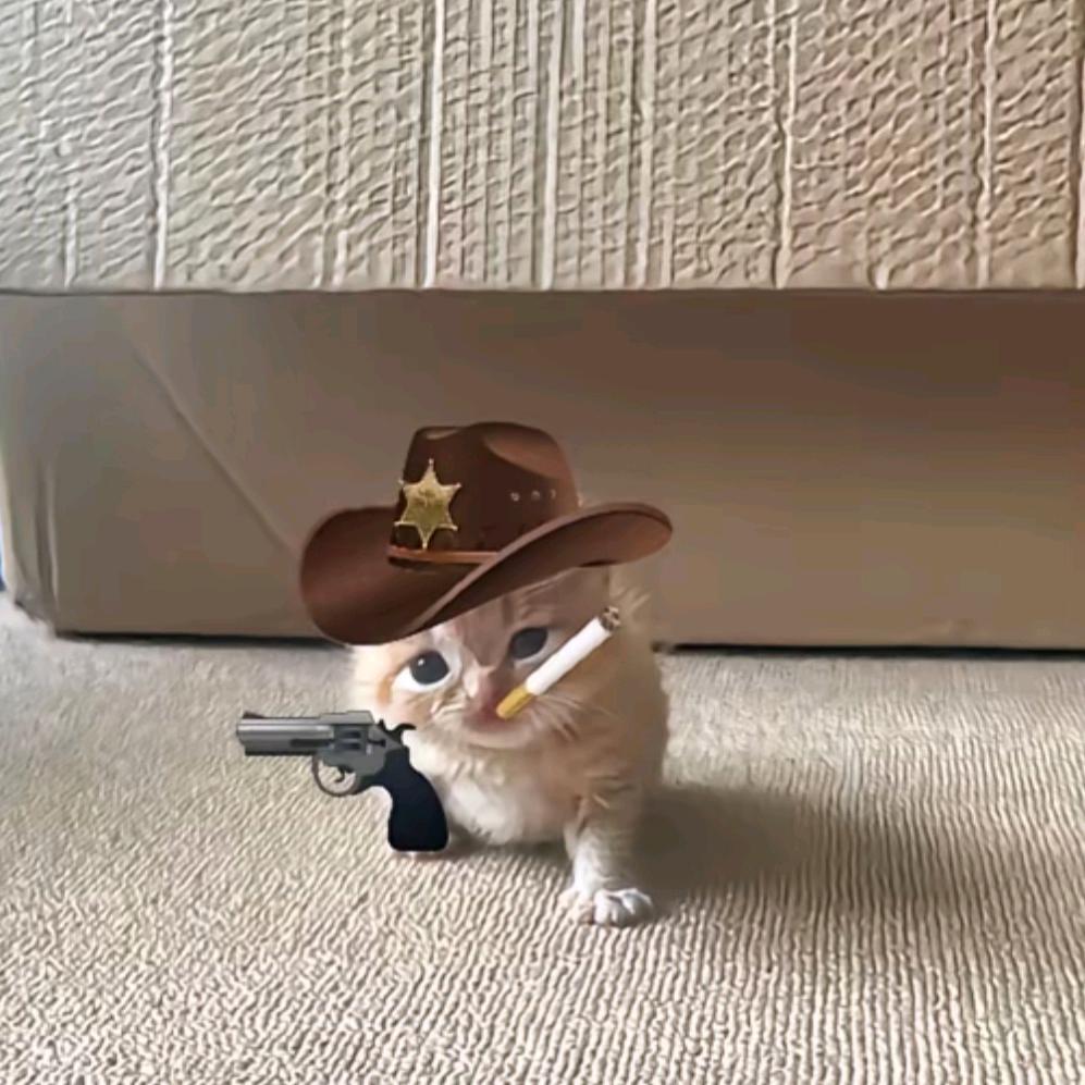 小鱼