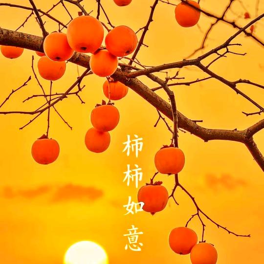 小崔_2489071