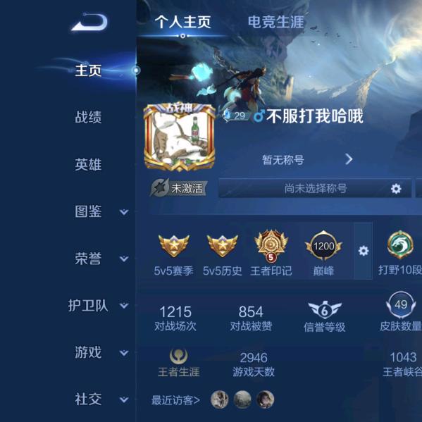 亮王者荣耀